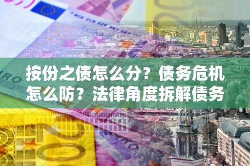 北京按份之债怎么分？债务危机怎么防？法律角度拆解债务分配与风险自保指南