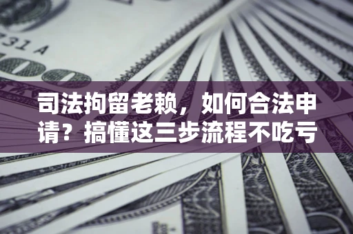北京司法拘留老赖，如何合法申请？搞懂这三步流程不吃亏！