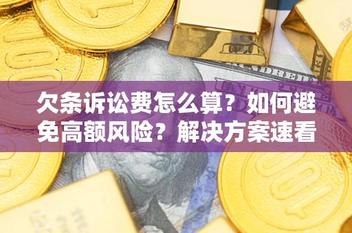 北京欠条诉讼费怎么算？如何避免高额风险？解决方案速看！