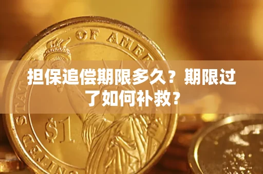 北京担保追偿期限多久？期限过了如何补救？