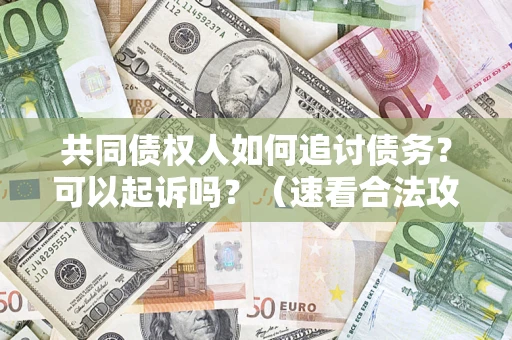 北京共同债权人如何追讨债务？可以起诉吗？（速看合法攻略）